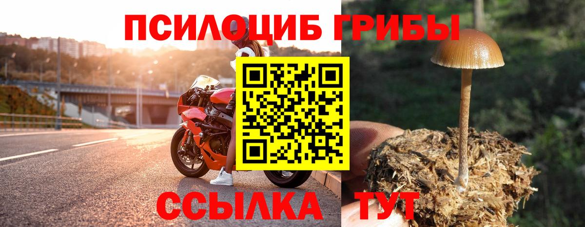 Псилоцибиновые грибы прущие грибы Миасс
